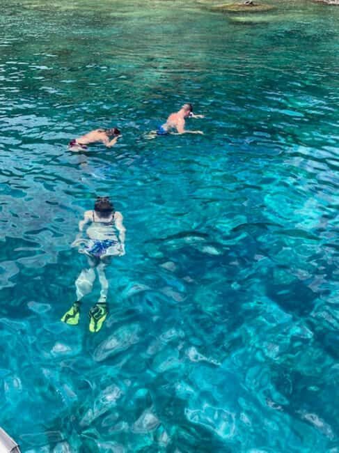 Saint Kitts & Nevis: Snorkel Tour with open Bar - Who Will Love This Tour?