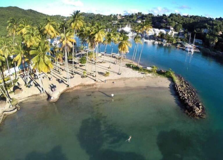 Saint Lucia: 3 hour Sea and Land Tour to Marigot Bay - Why This Tour Offers Excellent Value
