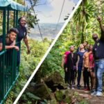 Saint Lucia: Aerial Tram Tour at Rainforest Adventures - A Closer Look: The Experience and Itinerary