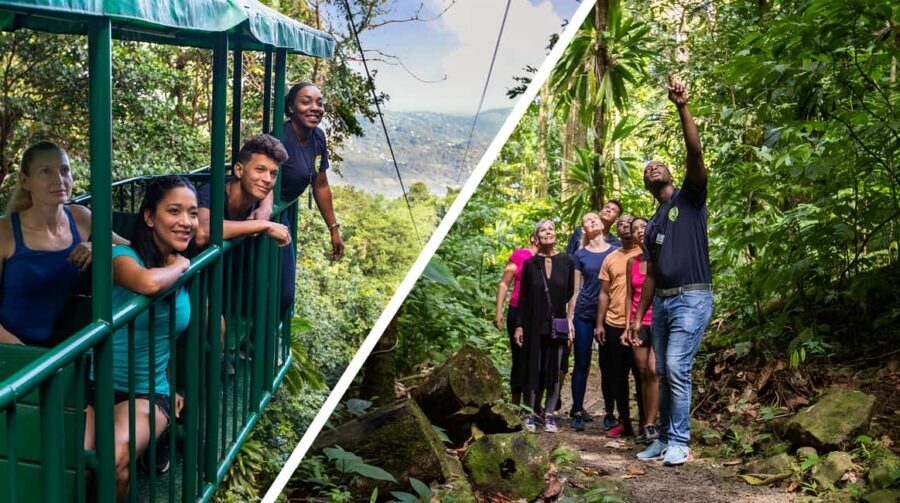 Saint Lucia: Aerial Tram Tour at Rainforest Adventures - A Closer Look: The Experience and Itinerary