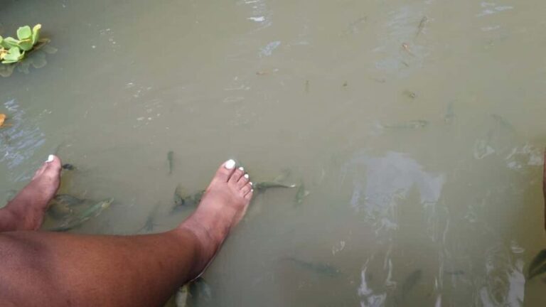 Saint Lucia: La Tille Falls Visit and Fish Foot Massage - A Detailed Look at the La Tille Falls Visit and Fish Foot Massage