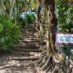 Saint Lucia: Tet Paul Nature Trail Hiking Tour & Beach - Who Will Love This Tour?