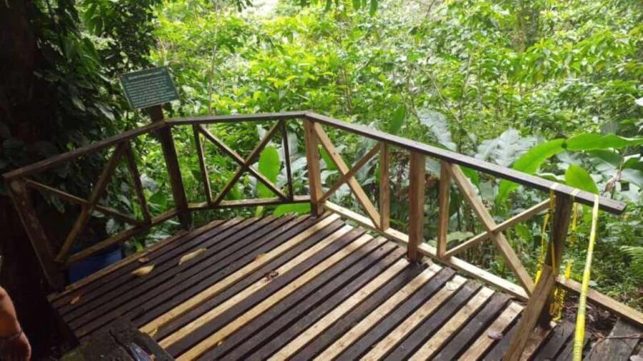 Saint Vincent: Caribbean Odyssey Tour - The Sum Up: Is This Tour Worth It?