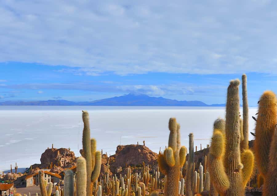 Salar de Uyuni and Laguna Colorada 3D| English-Spanish Guide - Day 2: Volcanoes, Lagoons, and Flamingos