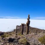 SALAR DE UYUNI:,tours through the majestic uyuni salt flat. - Exploring the Salar de Uyuni Tour: What to Expect