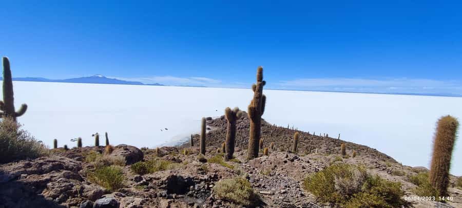 SALAR DE UYUNI:,tours through the majestic uyuni salt flat. - Exploring the Salar de Uyuni Tour: What to Expect