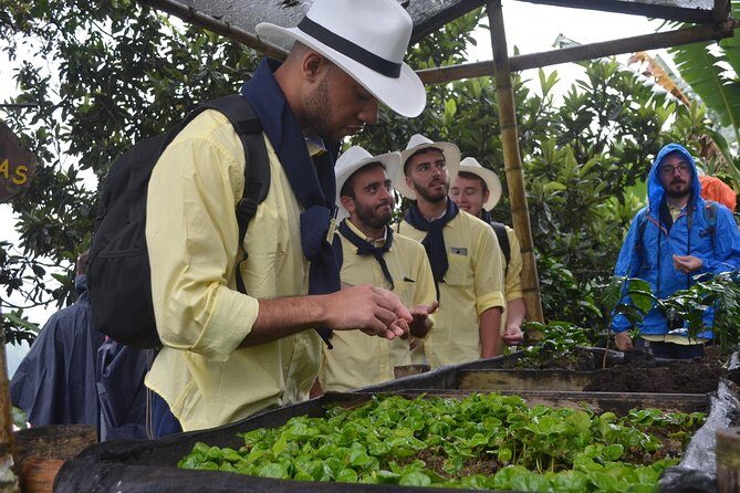 Salentina Immersion in the PCC Coffee Cultural Landscape - Who Will Love This Tour?