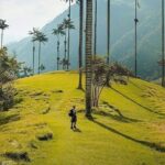 Salento, Cocora and Filandia Private Tour from Pereira or Armenia - Exploring the Coffee Region: A Closer Look