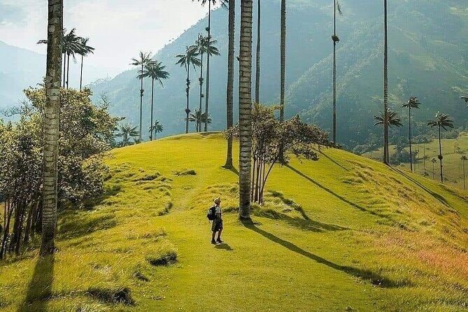 Salento, Cocora and Filandia Private Tour from Pereira or Armenia - Exploring the Coffee Region: A Closer Look