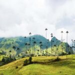 Salento, Cocora and Filandia Tour from Pereira or Armenia - Who Will Love This Tour?