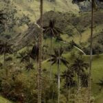 Salento, Cradle of wax palm, Carbonera Hike Tour - Exploring the Carbonera Hike Tour in Detail