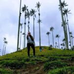 Salento/Pereira: Cocora Valley & Salento Hiking Private Tour - What to Expect from Your Cocora Valley & Salento Private Tour