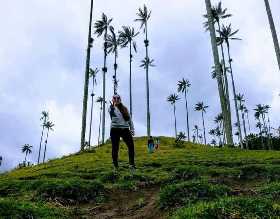 Salento/Pereira: Cocora Valley & Salento Hiking Private Tour - What to Expect from Your Cocora Valley & Salento Private Tour