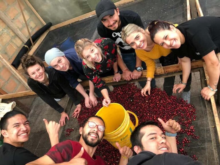 Salento: Private Cocora Valley, Salento & Coffee Farm Tour - Detailed Review of the Tour Experience