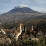 Salinas and Aguada Blanca National Reserve - Why This Tour Offers Real Value