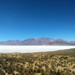 Salinas Salt Lagoon Private tour - Day Trip from Arequipa - What the Tour Includes and What to Keep in Mind