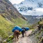 Salkantay Trek 4 Days to Machu Picchu - Best trek in Peru - Starting Point: Cusco and Pre-Trek Briefing