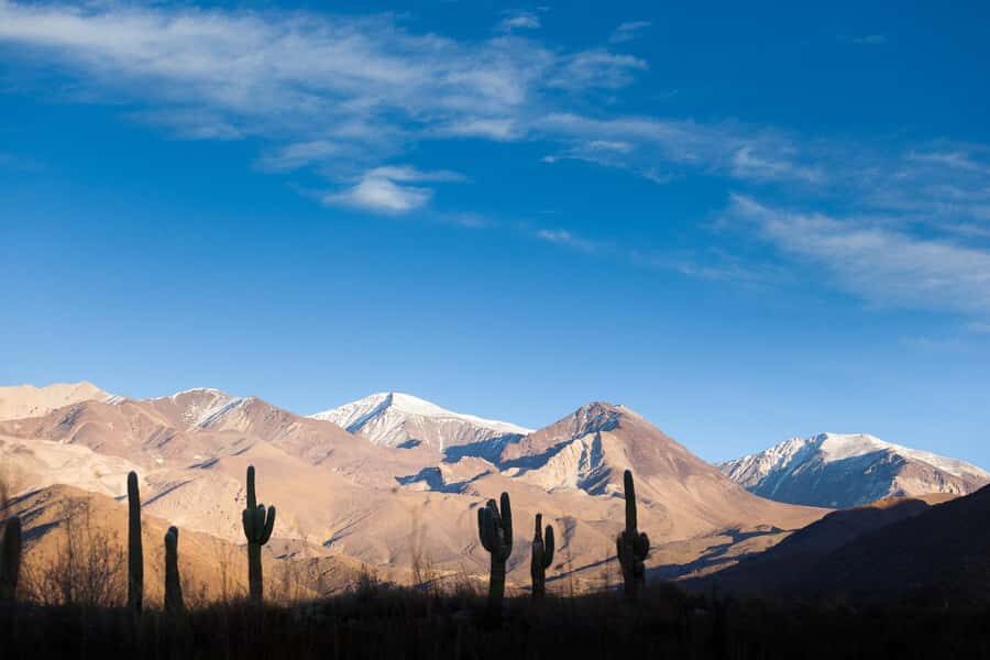 Salta: Calchaquí Valley Scenic Drive and Day Trip to Cachi - Who Will Enjoy This Tour?