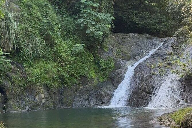 Salto de Pilar Cliff Jumping Tour - Why You Might Choose This Tour