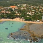 Salvador: Praia Do Forte and Guarajuba Beach Day Trip - Practical Details and What You Should Know