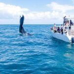 Samaná Adventure El Limón Waterfall Cayo Levantado Island Tour - What Travelers Say: Authentic Experiences and Stunning Views