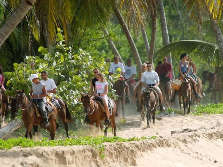 Samana, Ballenas, Cayo Levantado, Horseback Riding - A Full Day of Diverse Sights and Activities