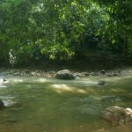 Samaná: El Limón Waterfall Horseback Riding Tour - An In-Depth Look at the Tour Experience