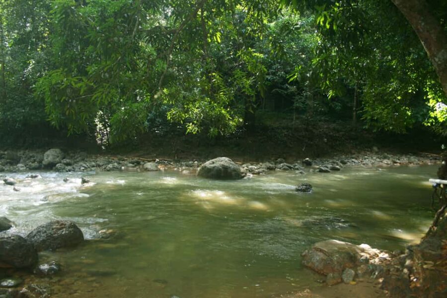Samaná: El Limón Waterfall Horseback Riding Tour - An In-Depth Look at the Tour Experience