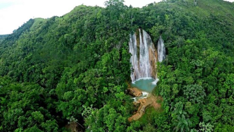 Samaná from Punta Cana: Cayo and Waterfall + Whale Watch - Frequently Asked Questions