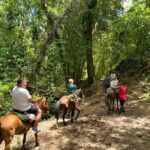 Samana full day, Risen Key, Horses, Lemon waterfall - Who Should Consider This Tour?
