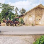Samaná: Horseback Riding to El Limón Waterfall with Lunch - Who Will Love This Tour?