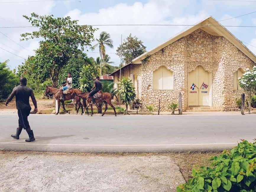 Samaná: Horseback Riding to El Limón Waterfall with Lunch