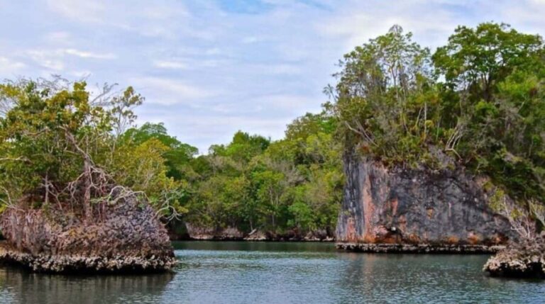 Samana: Los Haitises & Cano Hondo Overnight Tour - An In-Depth Look at the Samana: Los Haitises & Cano Hondo Overnight Tour