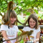 Samaná: Monkeyland and Open-Air Safari Truck Tour - Frequently Asked Questions