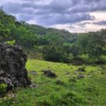 Samana: Private Los Haitises Expedition Caves & Mangroves - What to Expect on the Tour