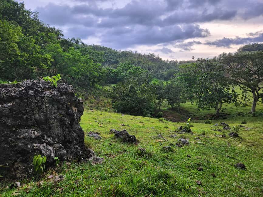 Samana: Private Los Haitises Expedition Caves & Mangroves - What to Expect on the Tour