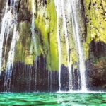 Samana Whale Watching + Cayo Levantado + Limon Waterfalls from Punta Cana Hotels - Frequently Asked Questions