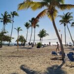 Samana Whales Watching Full Day Tour with Cayo Levantado and more - Practical Details and Tips for Travelers