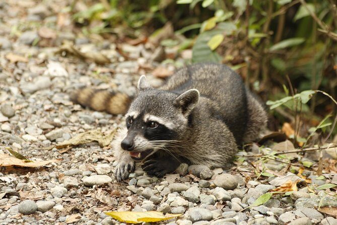 Samara Trails in Werner Sauter Biological Reserve - Who Will Love This Tour?