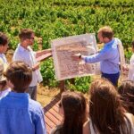 San Alfonso del Mar, Veramonte Vineyard, Isla Negra and Algarrobo - Who Should Consider This Tour?