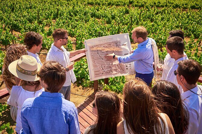 San Alfonso del Mar, Veramonte Vineyard, Isla Negra and Algarrobo - Who Should Consider This Tour?