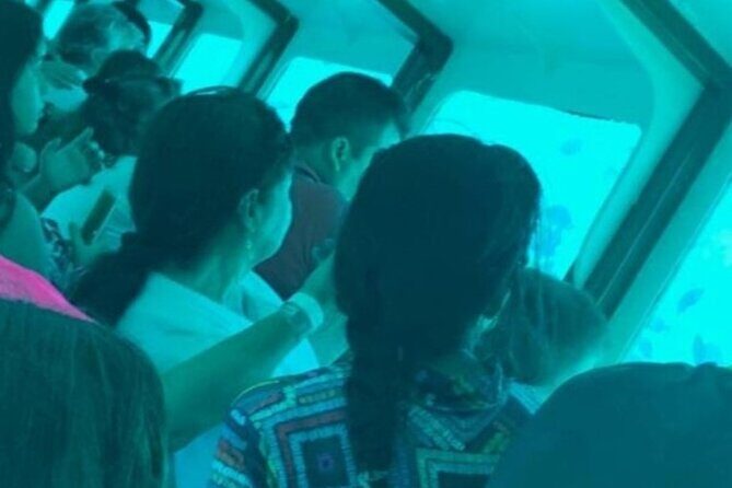 San Andreas Private Underwater Tour with Glass Bottom - An In-Depth Look at the Experience