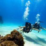 SAN ANDRES: MINI DIVING COURSE - Authenticity and Value: Why This Tour Works