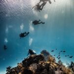 San Andres: SCUBA Diving Experience with Hotel Pickup - What We Like: Why This Tour Shines