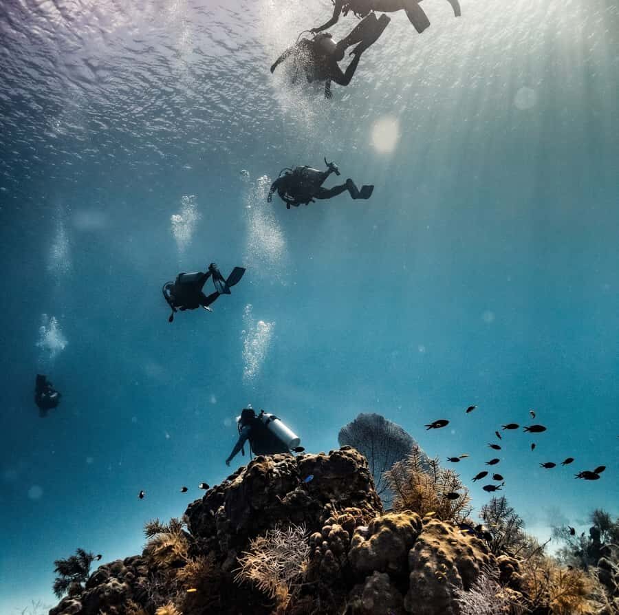 San Andres: SCUBA Diving Experience with Hotel Pickup - What We Like: Why This Tour Shines