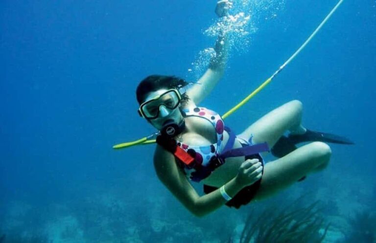 SAN ANDRES: Snuba tour, fish sighting - The Experience: What to Expect on the San Andrés Snuba Tour