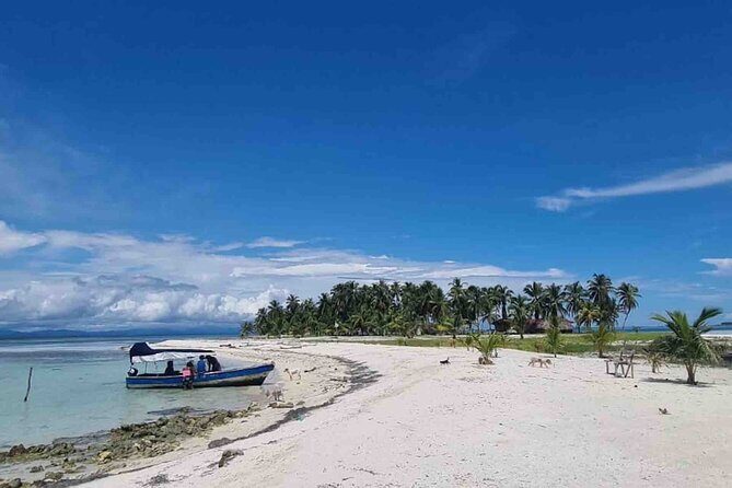 San Blas Island Hopping Tour with New Exclusive Paradise Island - Real Traveler Perspectives