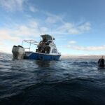 San Cristobal Galapagos 360 - Snorkeling Tour (Kicker Rock) - Who is This Tour Best For?