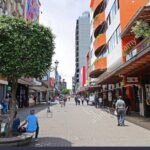 San Jose Afternoon City Tour - Practical Tips for Your San Jose City Tour