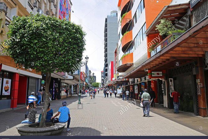 San Jose Afternoon City Tour - Practical Tips for Your San Jose City Tour